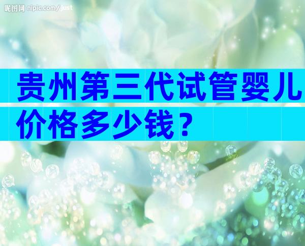 贵州第三代试管婴儿价格多少钱？