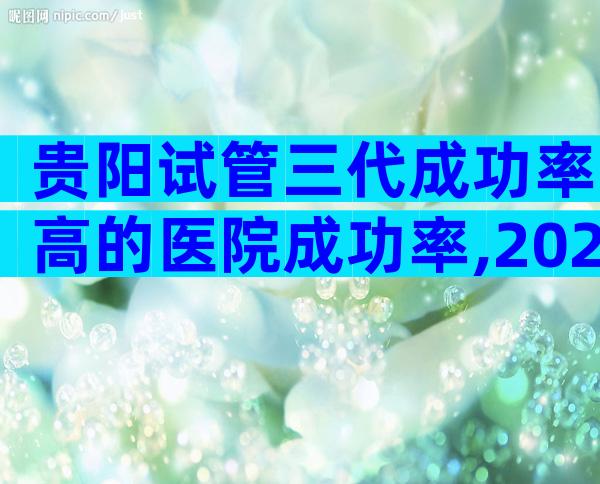 贵阳试管三代成功率高的医院成功率,2024试管指南