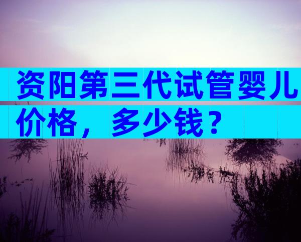 资阳第三代试管婴儿价格，多少钱？
