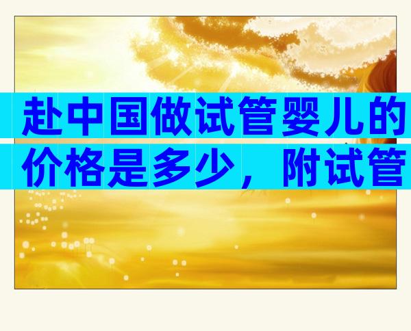 赴中国做试管婴儿的价格是多少，附试管婴儿优势