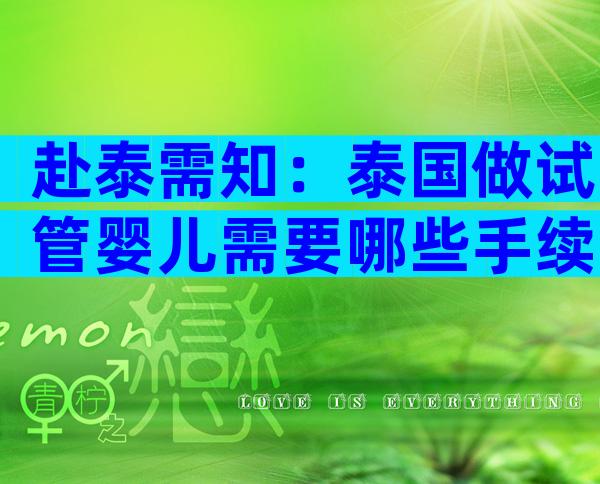 赴泰需知：泰国做试管婴儿需要哪些手续？