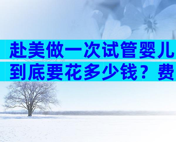 赴美做一次试管婴儿到底要花多少钱？费用清单详解