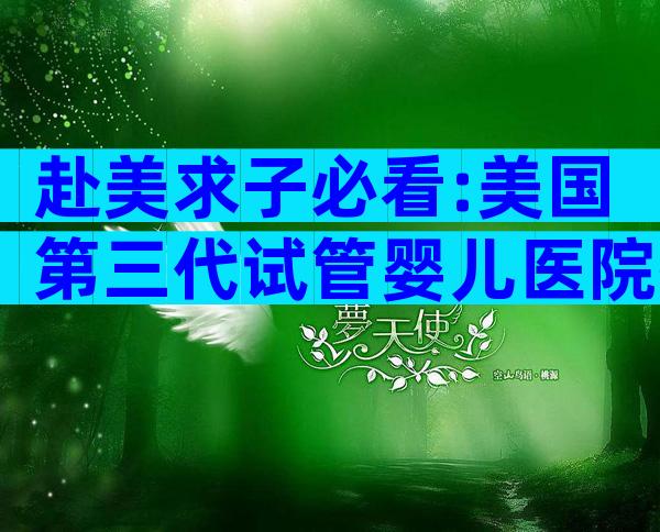 赴美求子必看:美国第三代试管婴儿医院挑选全指南