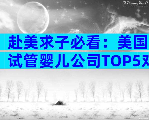 赴美求子必看：美国试管婴儿公司TOP5对比，成功率、费用和服务全解析