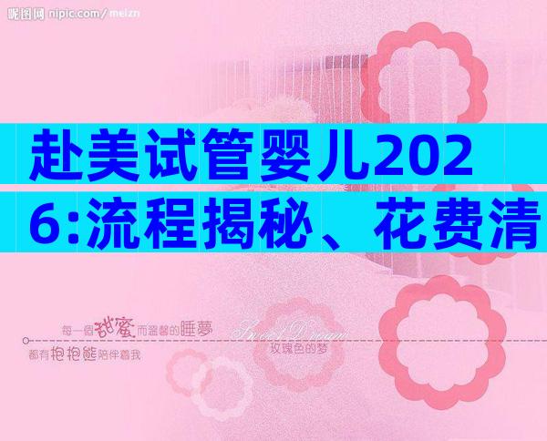 赴美试管婴儿2026:流程揭秘、花费清单与权威医生攻略