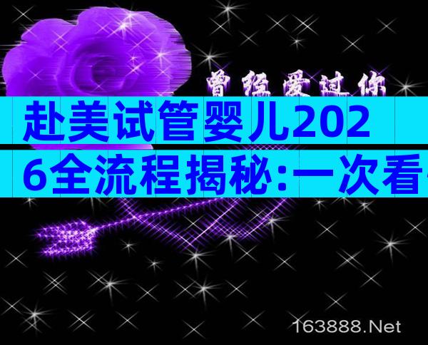 赴美试管婴儿2026全流程揭秘:一次看懂赴美生育准备与注意事项