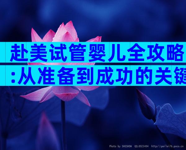 赴美试管婴儿全攻略:从准备到成功的关键步骤解析