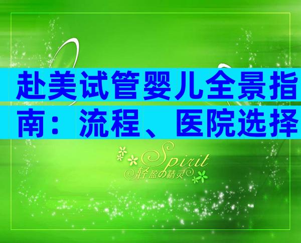 赴美试管婴儿全景指南：流程、医院选择与注意事项解读