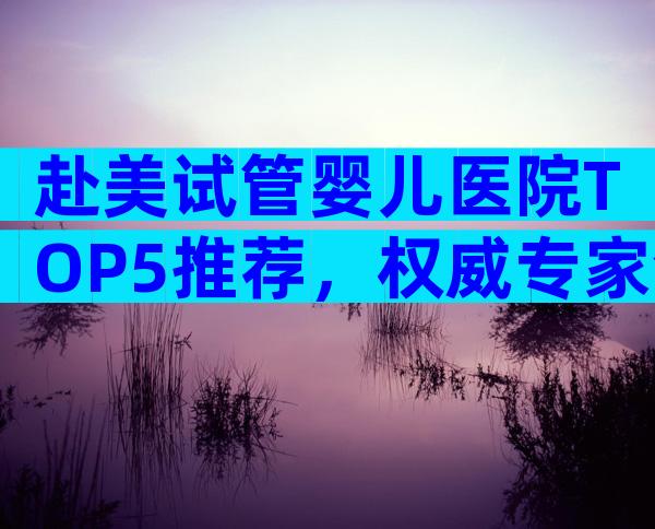 赴美试管婴儿医院TOP5推荐，权威专家全解析