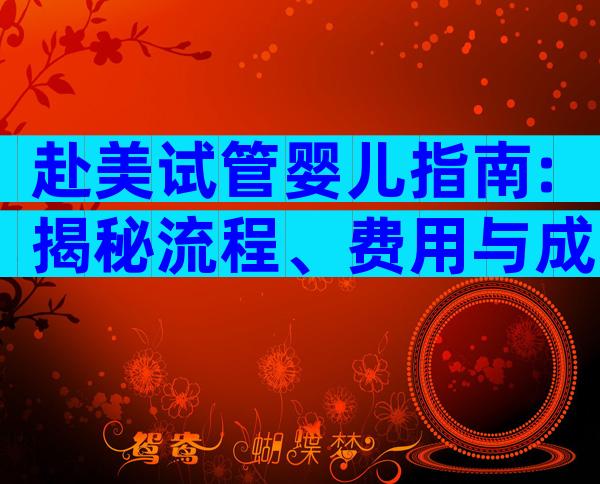 赴美试管婴儿指南:揭秘流程、费用与成功要素
