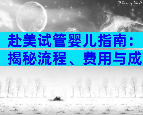 赴美试管婴儿指南：揭秘流程、费用与成功要素