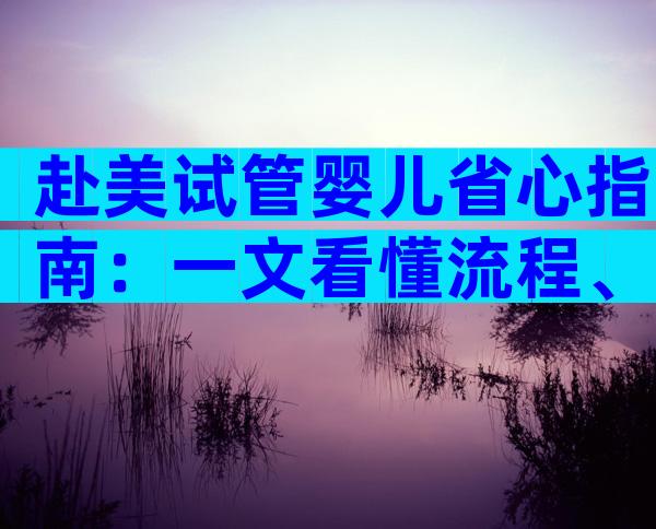 赴美试管婴儿省心指南：一文看懂流程、费用与医院推荐