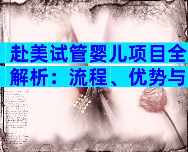 赴美试管婴儿项目全解析：流程、优势与注意事项