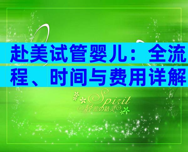 赴美试管婴儿：全流程、时间与费用详解