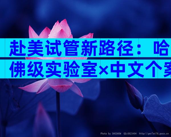 赴美试管新路径：哈佛级实验室×中文个案管家，30+岁家庭专属备孕加速方案