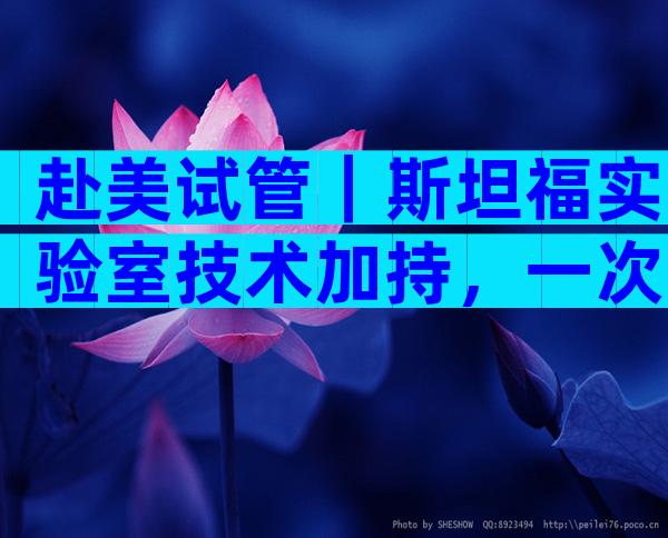 赴美试管｜斯坦福实验室技术加持，一次周期收获“双重惊喜”