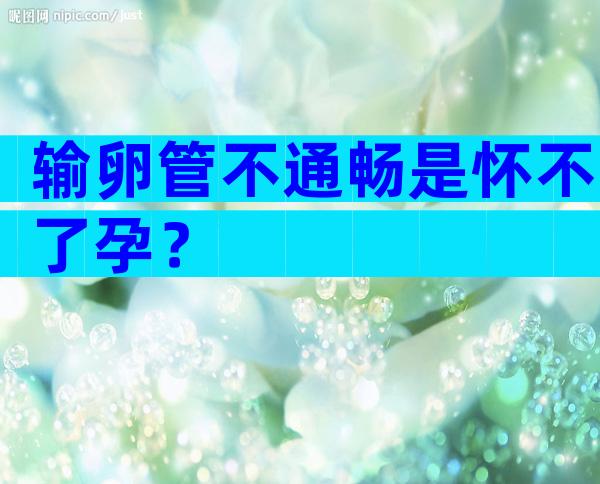 输卵管不通畅是怀不了孕？