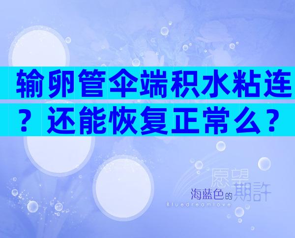 输卵管伞端积水粘连？还能恢复正常么？