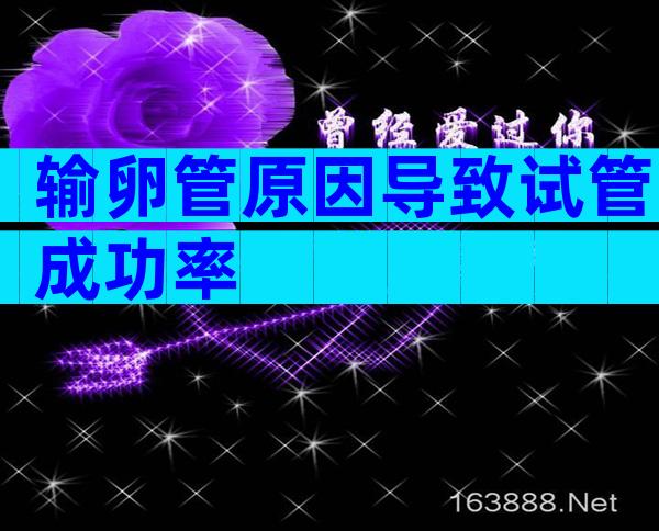 输卵管原因导致试管成功率