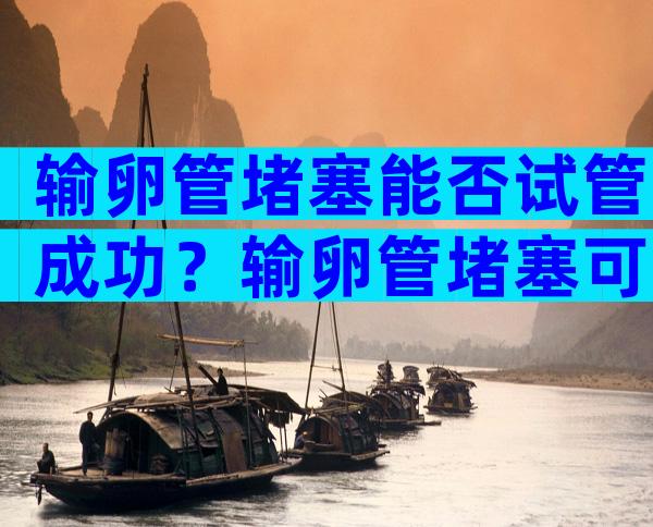 输卵管堵塞能否试管成功？输卵管堵塞可以直接做试管婴儿吗？