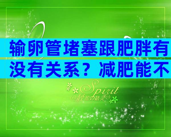 输卵管堵塞跟肥胖有没有关系？减肥能不能治疗输卵管堵塞？
