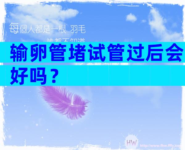 输卵管堵试管过后会好吗？