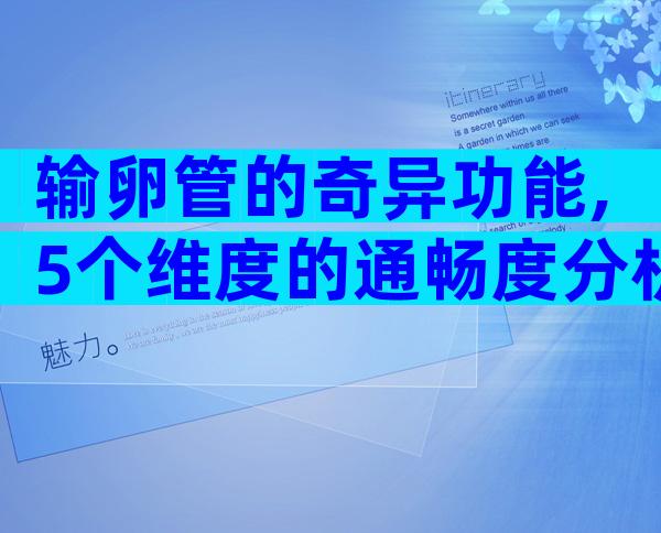 输卵管的奇异功能,5个维度的通畅度分析!