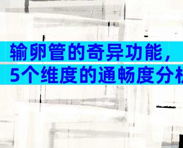 输卵管的奇异功能，5个维度的通畅度分析！