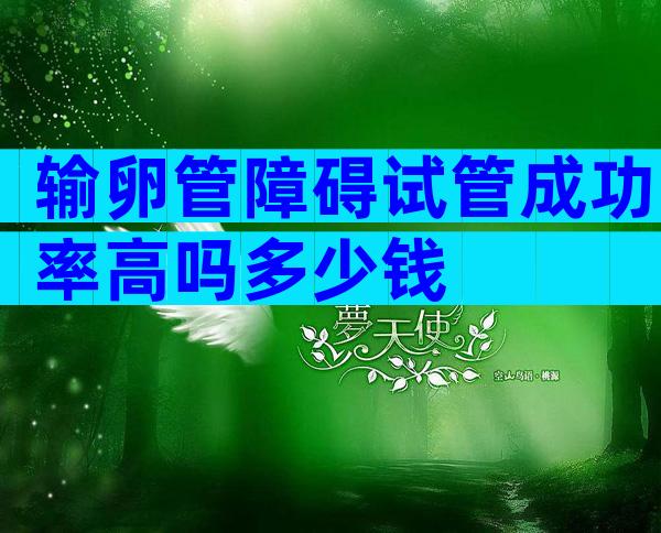 输卵管障碍试管成功率高吗多少钱