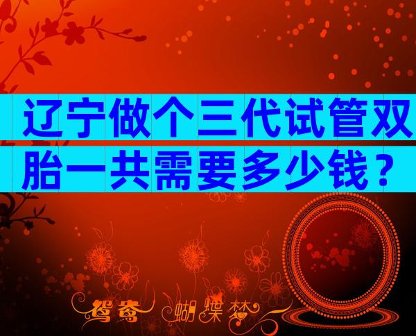 辽宁做个三代试管双胎一共需要多少钱？
