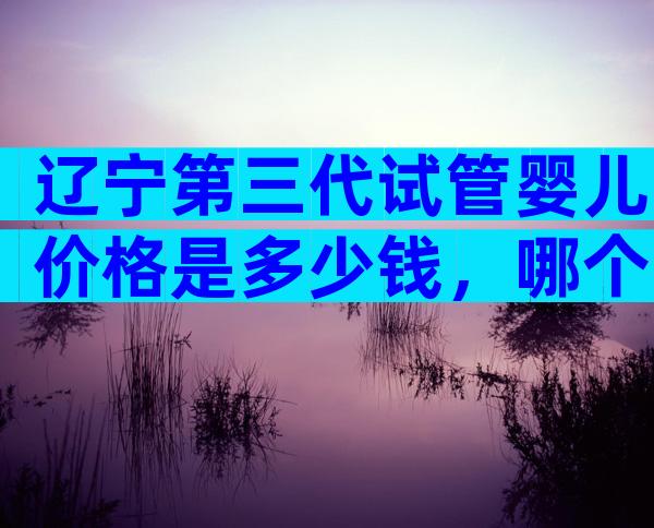 辽宁第三代试管婴儿价格是多少钱，哪个医院可以做？