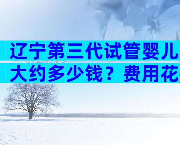 辽宁第三代试管婴儿大约多少钱？费用花在哪里？
