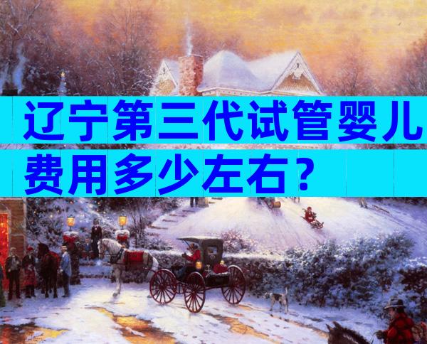 辽宁第三代试管婴儿费用多少左右？