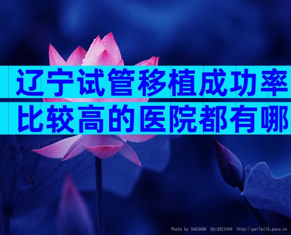 辽宁试管移植成功率比较高的医院都有哪些