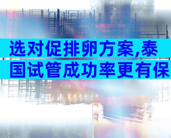 选对促排卵方案,泰国试管成功率更有保障