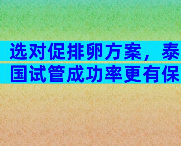选对促排卵方案，泰国试管成功率更有保障