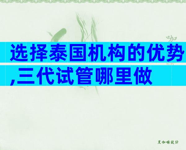 选择泰国机构的优势,三代试管哪里做