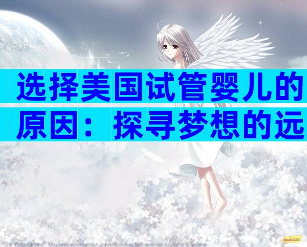 选择美国试管婴儿的原因：探寻梦想的远方