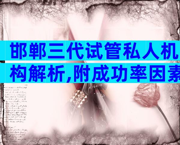 邯郸三代试管私人机构解析,附成功率因素讲解