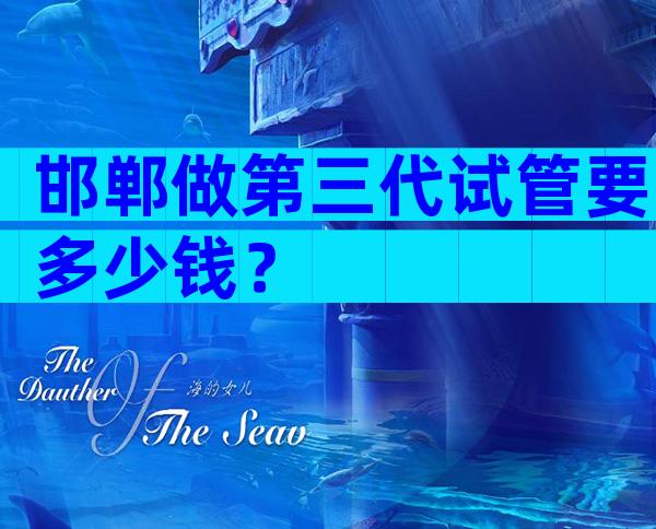 邯郸做第三代试管要多少钱？
