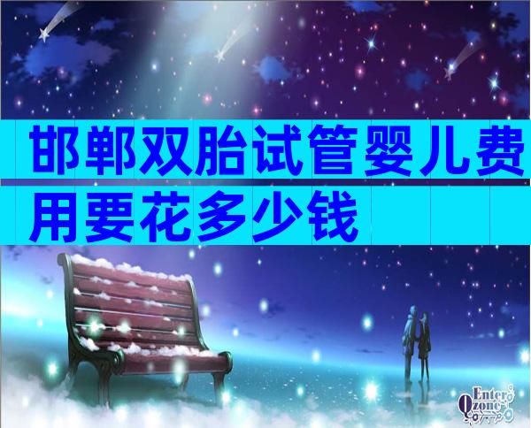 邯郸双胎试管婴儿费用要花多少钱