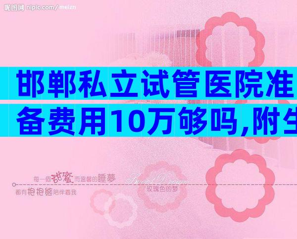 邯郸私立试管医院准备费用10万够吗,附生双胎医院排名