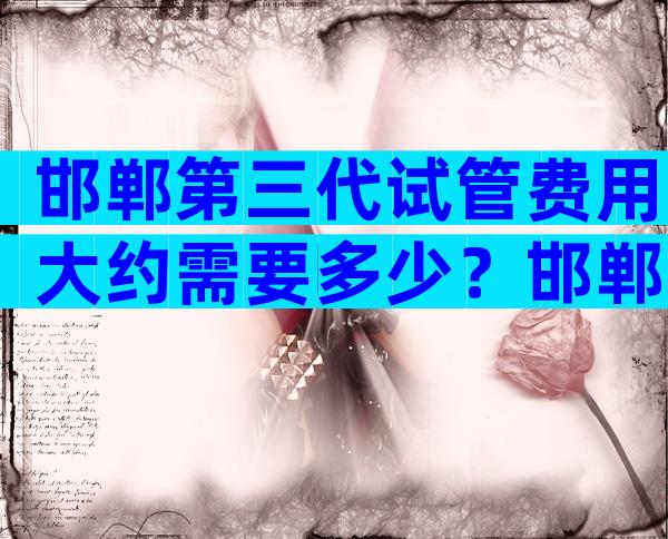 邯郸第三代试管费用大约需要多少？邯郸试管婴儿医院费用不过5万