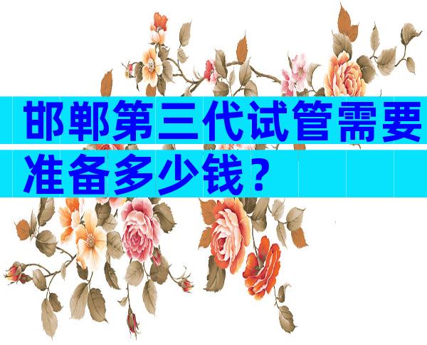 邯郸第三代试管需要准备多少钱？