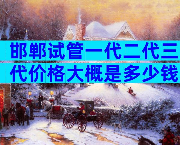 邯郸试管一代二代三代价格大概是多少钱？