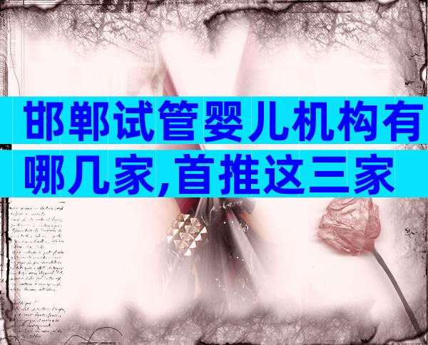 邯郸试管婴儿机构有哪几家,首推这三家