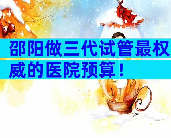 邵阳做三代试管最权威的医院预算！