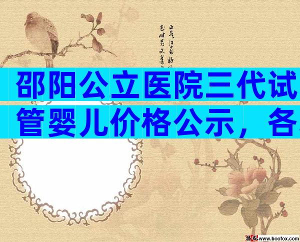 邵阳公立医院三代试管婴儿价格公示，各项费用清晰明了