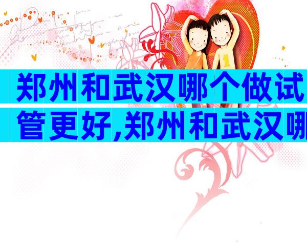 郑州和武汉哪个做试管更好,郑州和武汉哪个做试管更好些