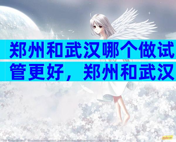 郑州和武汉哪个做试管更好，郑州和武汉哪个做试管更好些